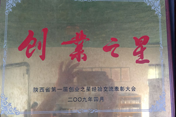陕西省第一届创业之星